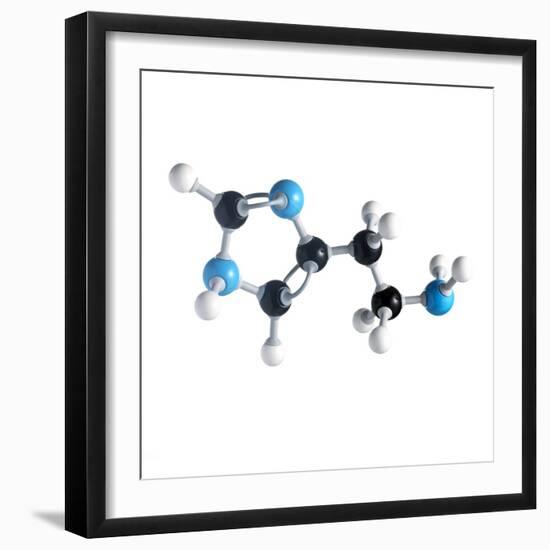 Histamine Molecule-Science Photo Library-Framed Premium Photographic Print