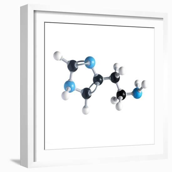 Histamine Molecule-Science Photo Library-Framed Premium Photographic Print