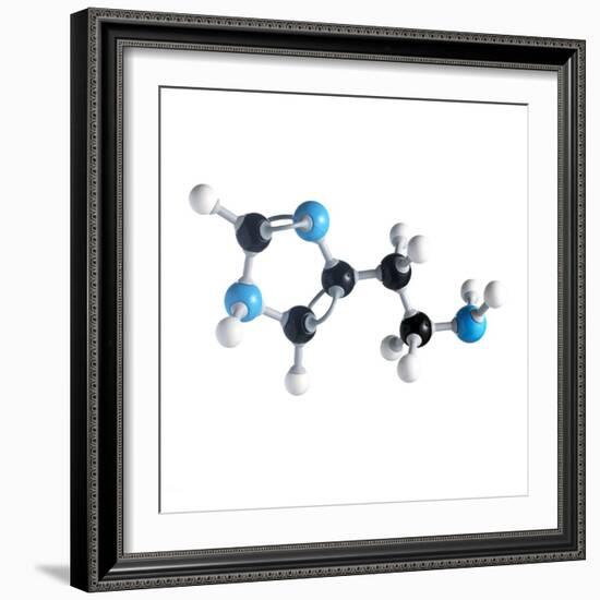 Histamine Molecule-Science Photo Library-Framed Premium Photographic Print