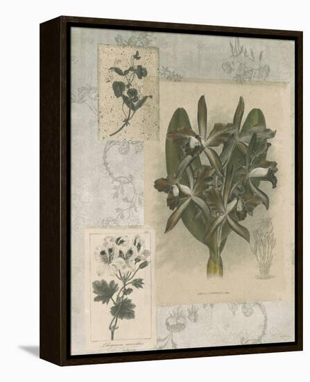Histoire Du Orchid VII-Carney-Framed Stretched Canvas