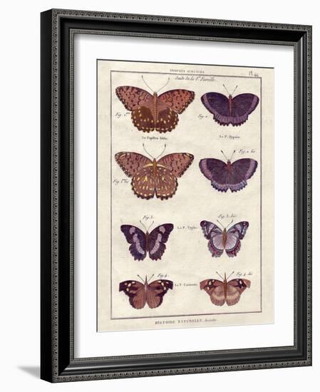 Histoire Naturelle 1-Terrence Wesley-Framed Art Print