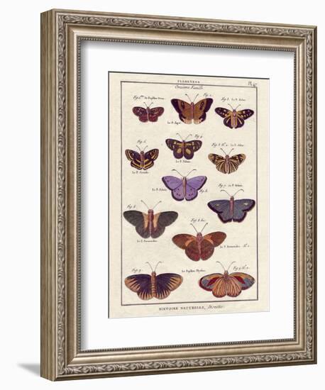 Histoire Naturelle 2-Terrence Wesley-Framed Art Print