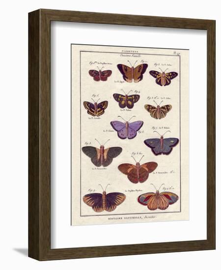 Histoire Naturelle 2-Terrence Wesley-Framed Art Print