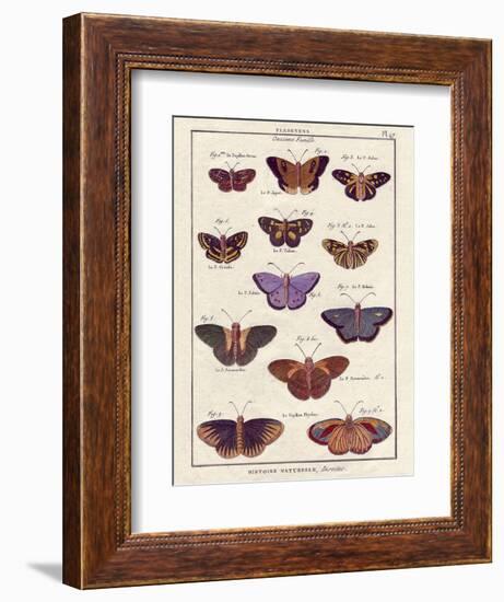 Histoire Naturelle 2-Terrence Wesley-Framed Art Print