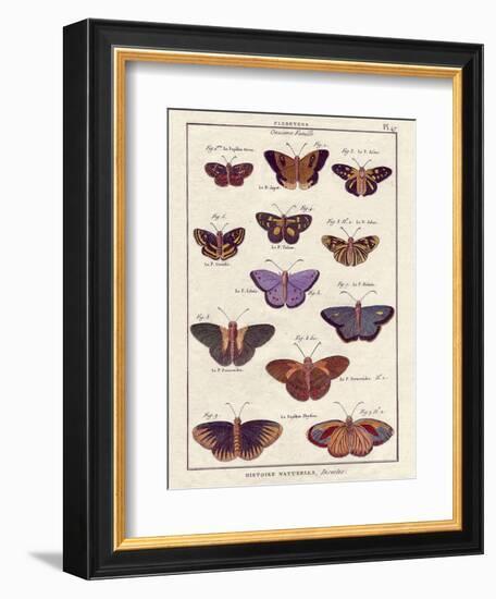 Histoire Naturelle 2-Terrence Wesley-Framed Art Print