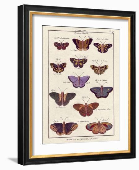 Histoire Naturelle 2-Terrence Wesley-Framed Art Print