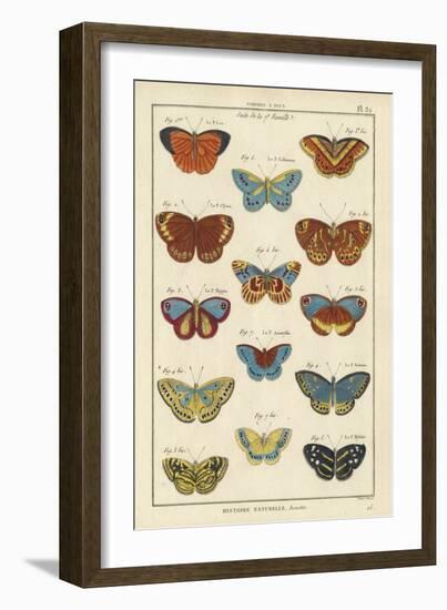 Histoire Naturelle Butterflies I-null-Framed Art Print