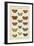 Histoire Naturelle Butterflies I-null-Framed Art Print