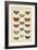 Histoire Naturelle Butterflies I-null-Framed Art Print