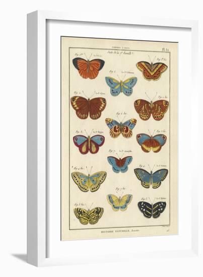 Histoire Naturelle Butterflies I-null-Framed Art Print