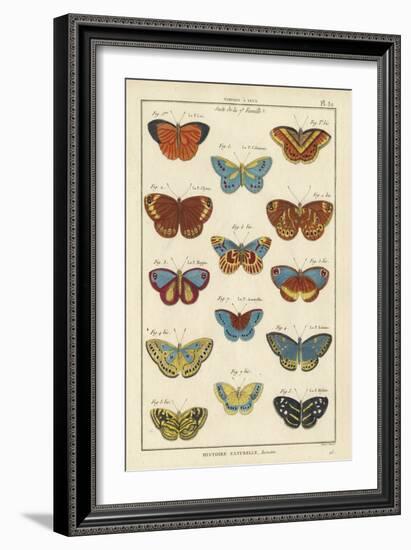 Histoire Naturelle Butterflies I-null-Framed Art Print