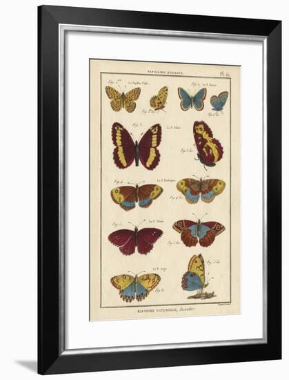 Histoire Naturelle Butterflies IV-null-Framed Art Print