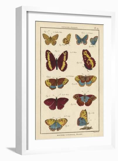 Histoire Naturelle Butterflies IV-null-Framed Art Print