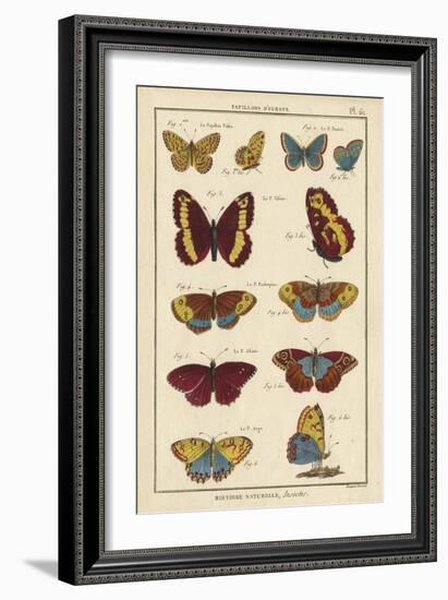 Histoire Naturelle Butterflies IV-null-Framed Art Print