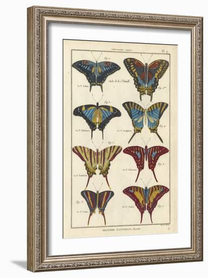 Histoire Naturelle Butterflies VI-null-Framed Art Print