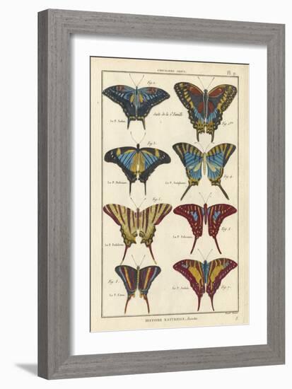 Histoire Naturelle Butterflies VI-null-Framed Art Print