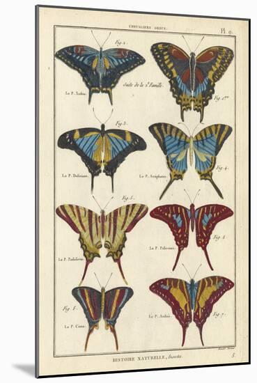 Histoire Naturelle Butterflies VI-null-Mounted Art Print