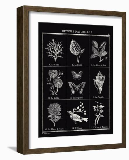 Histoire Naturelle I-Maria Mendez-Framed Giclee Print