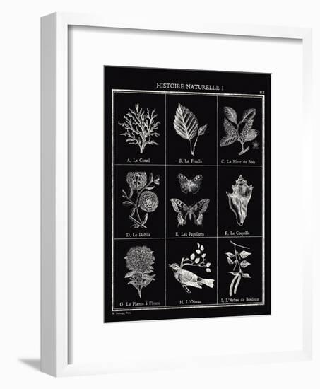 Histoire Naturelle I-Maria Mendez-Framed Giclee Print