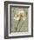 Histoire Naturelle I-Daphne Brissonnet-Framed Art Print