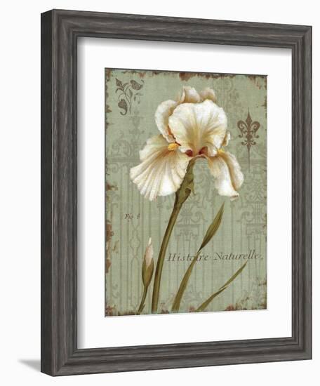 Histoire Naturelle I-Daphne Brissonnet-Framed Art Print