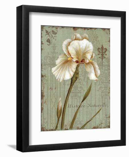 Histoire Naturelle I-Daphne Brissonnet-Framed Art Print