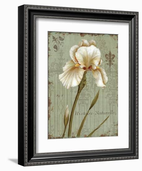 Histoire Naturelle I-Daphne Brissonnet-Framed Art Print