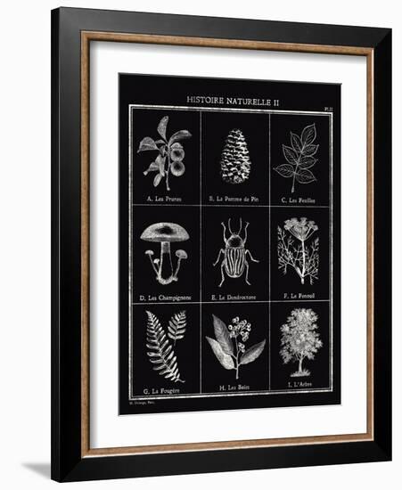 Histoire Naturelle II-Maria Mendez-Framed Giclee Print