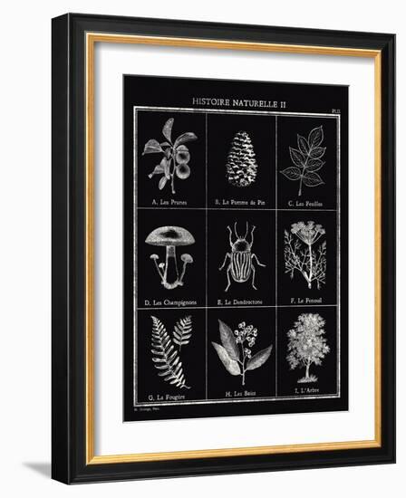 Histoire Naturelle II-Maria Mendez-Framed Giclee Print