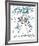 Histoire naturelle : la Tarentule des Lettres-Felix Labisse-Framed Limited Edition