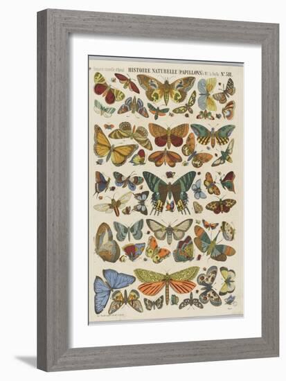 Histoire naturelle : papillons-null-Framed Giclee Print