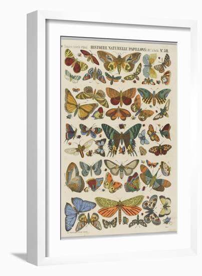 Histoire naturelle : papillons-null-Framed Giclee Print
