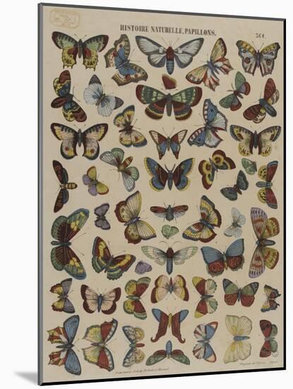 Histoire naturelle : papillons-null-Mounted Giclee Print