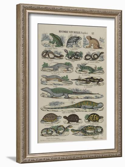 Histoire naturelle (reptiles)-null-Framed Giclee Print