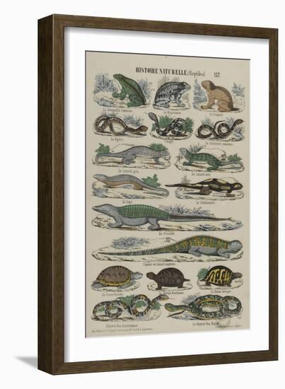 Histoire naturelle (reptiles)-null-Framed Giclee Print