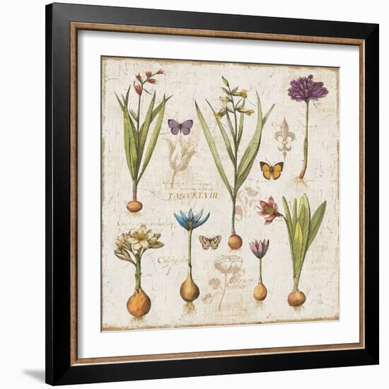 Histoire Naturelle V-Pela Design-Framed Art Print