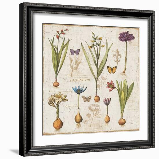 Histoire Naturelle V-Pela Design-Framed Art Print