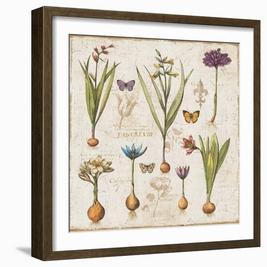 Histoire Naturelle V-Pela Design-Framed Premium Giclee Print