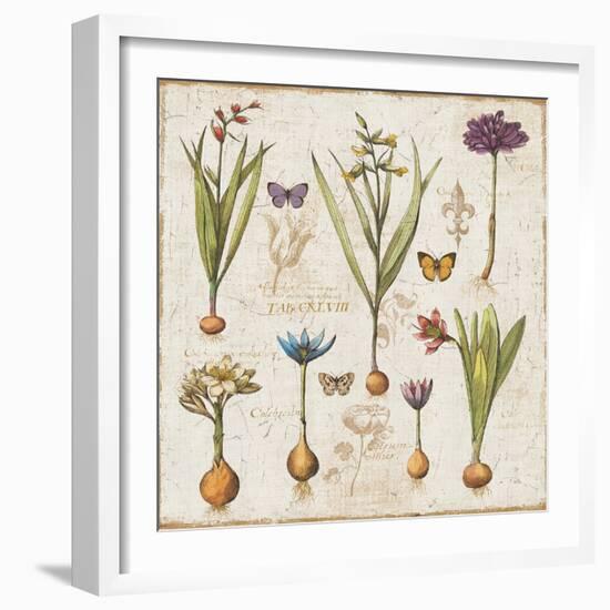 Histoire Naturelle V-Pela Design-Framed Premium Giclee Print