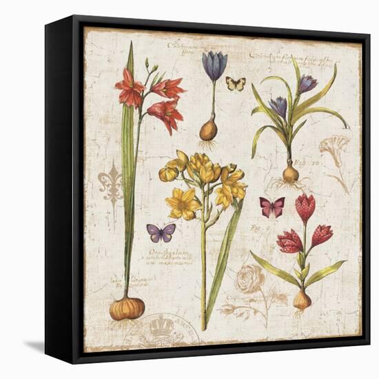 Histoire Naturelle VI-Pela Design-Framed Stretched Canvas