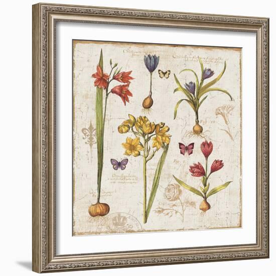 Histoire Naturelle VI-Pela Design-Framed Art Print