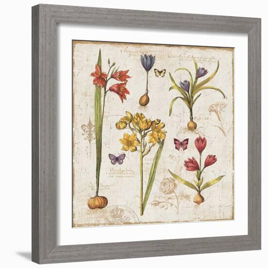 Histoire Naturelle VI-Pela Design-Framed Art Print