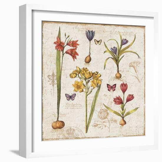 Histoire Naturelle VI-Pela Design-Framed Art Print