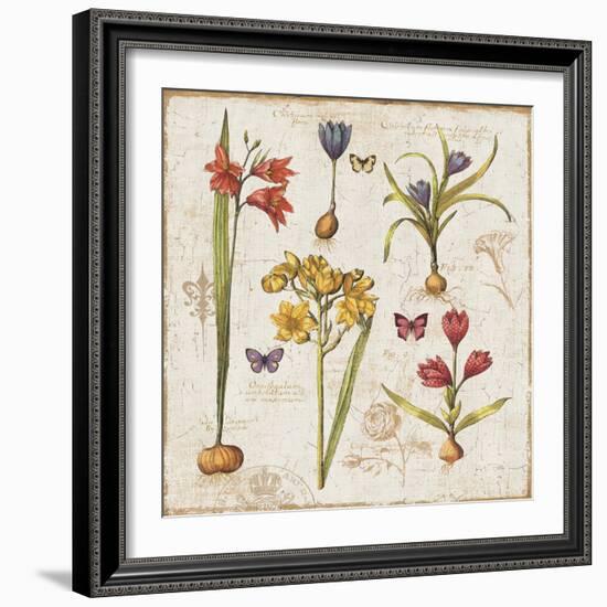 Histoire Naturelle VI-Pela Design-Framed Art Print