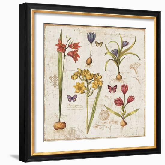 Histoire Naturelle VI-Pela Design-Framed Art Print