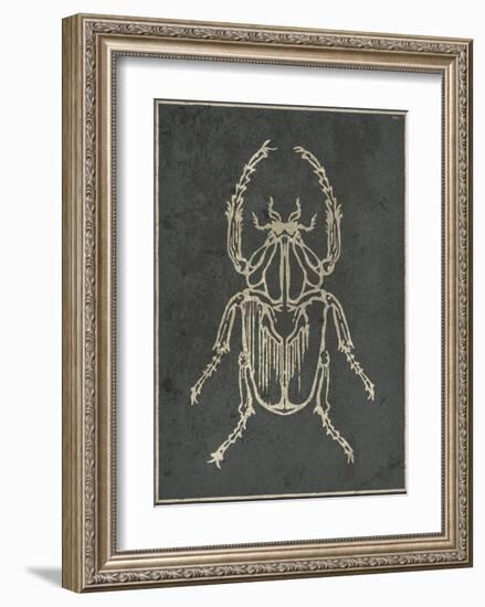 Historia Insectorum Generalis I-The Vintage Collection-Framed Giclee Print
