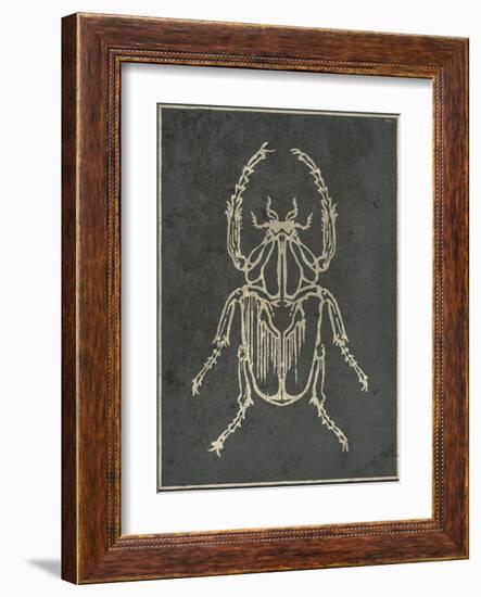 Historia Insectorum Generalis I-The Vintage Collection-Framed Giclee Print