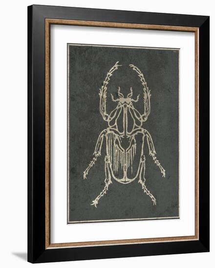 Historia Insectorum Generalis I-The Vintage Collection-Framed Giclee Print