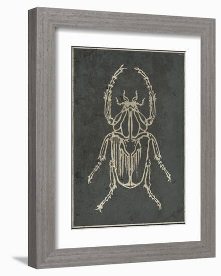 Historia Insectorum Generalis I-The Vintage Collection-Framed Giclee Print