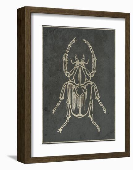 Historia Insectorum Generalis I-The Vintage Collection-Framed Giclee Print